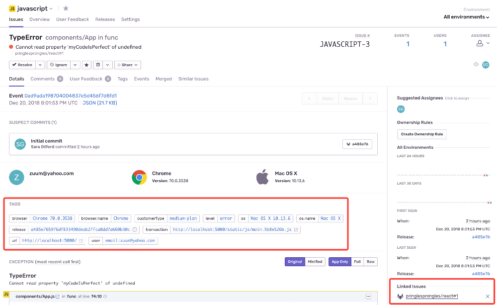 Issue detail highlighting tags